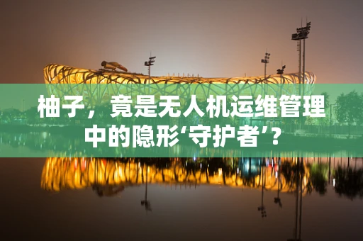 柚子，竟是无人机运维管理中的隐形‘守护者’？