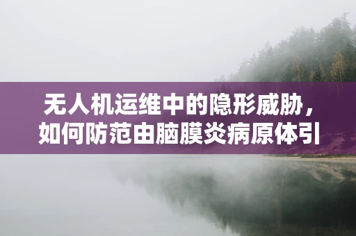 无人机运维中的隐形威胁，如何防范由脑膜炎病原体引发的健康风险？