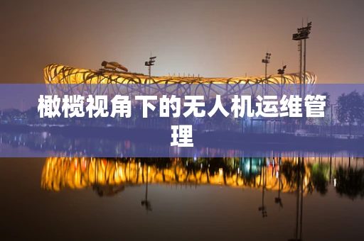 橄榄视角下的无人机运维管理
