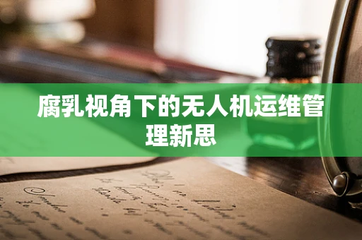 腐乳视角下的无人机运维管理新思