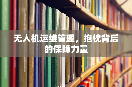 无人机运维管理，抱枕背后的保障力量
