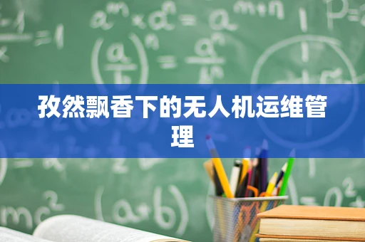 孜然飘香下的无人机运维管理