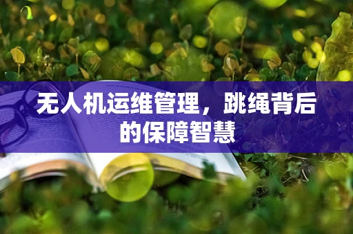 无人机运维管理，跳绳背后的保障智慧