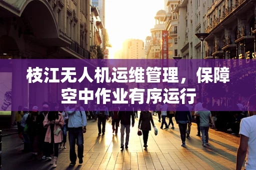 枝江无人机运维管理，保障空中作业有序运行