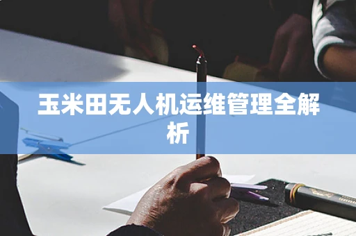 玉米田无人机运维管理全解析