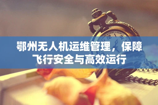 鄂州无人机运维管理，保障飞行安全与高效运行
