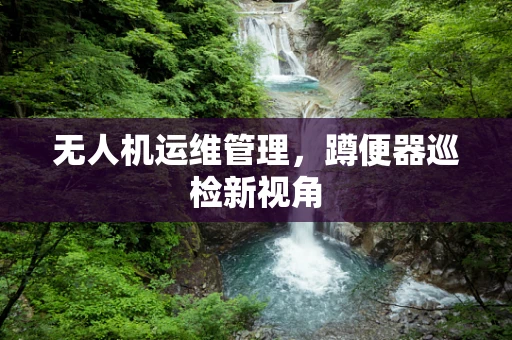 无人机运维管理，蹲便器巡检新视角
