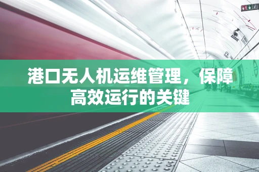 港口无人机运维管理，保障高效运行的关键