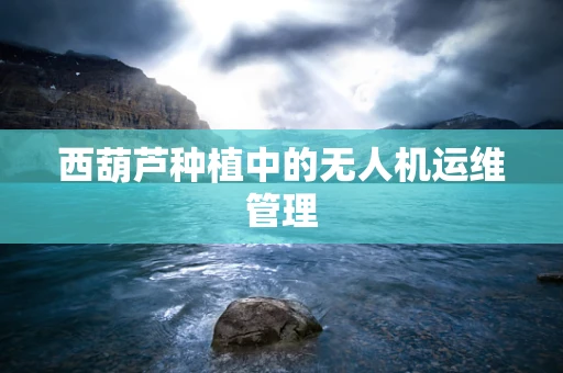 西葫芦种植中的无人机运维管理