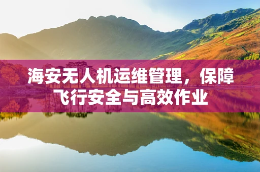 海安无人机运维管理，保障飞行安全与高效作业