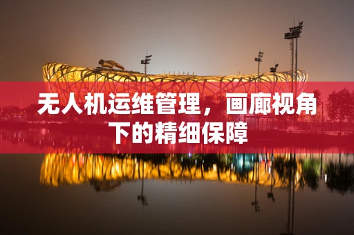 无人机运维管理，画廊视角下的精细保障