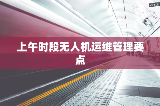 上午时段无人机运维管理要点