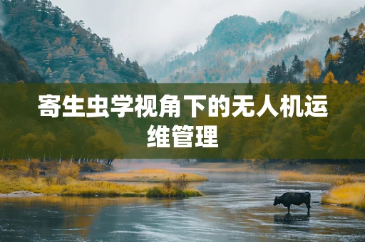 寄生虫学视角下的无人机运维管理
