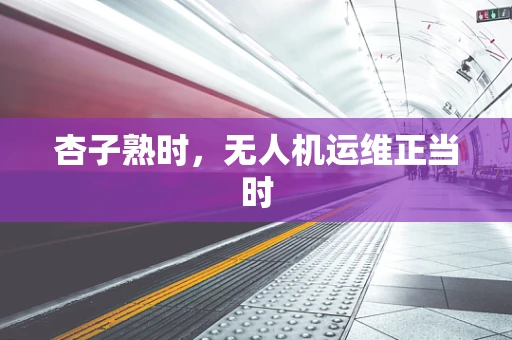 杏子熟时，无人机运维正当时