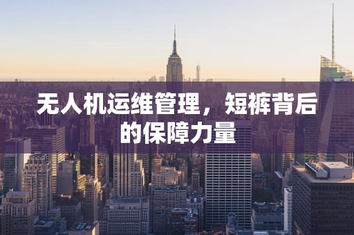 无人机运维管理，短裤背后的保障力量