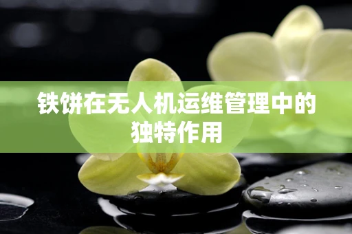 铁饼在无人机运维管理中的独特作用