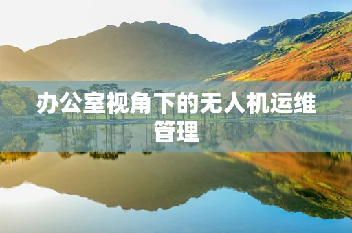 办公室视角下的无人机运维管理