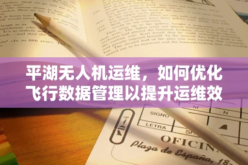 平湖无人机运维，如何优化飞行数据管理以提升运维效率？