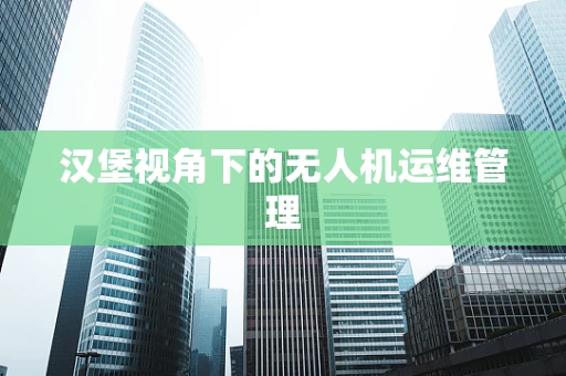 汉堡视角下的无人机运维管理