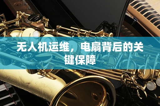 无人机运维，电扇背后的关键保障