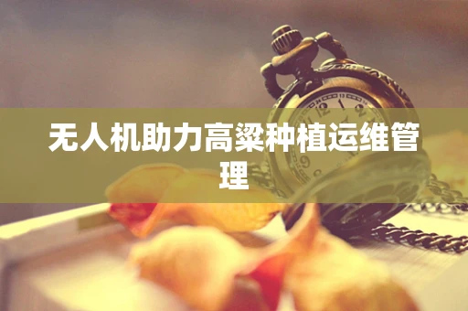 无人机助力高粱种植运维管理