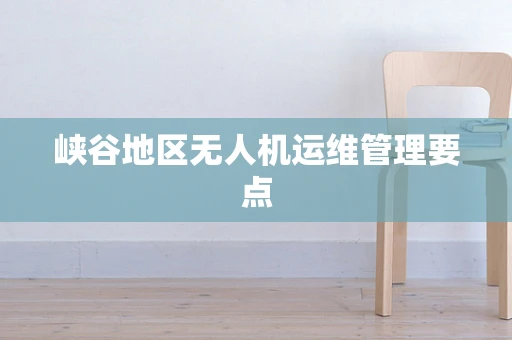峡谷地区无人机运维管理要点