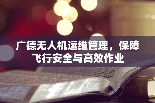 广德无人机运维管理，保障飞行安全与高效作业