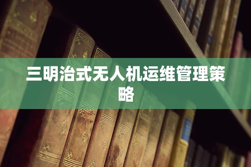 三明治式无人机运维管理策略