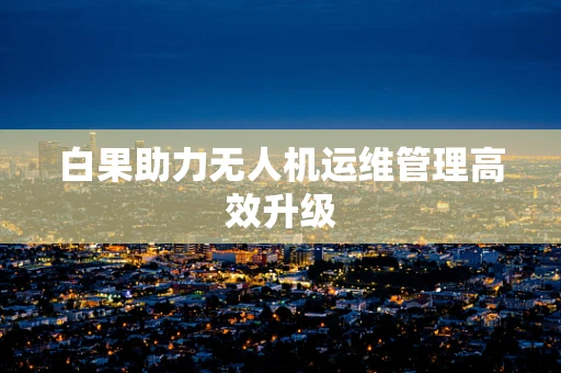 白果助力无人机运维管理高效升级