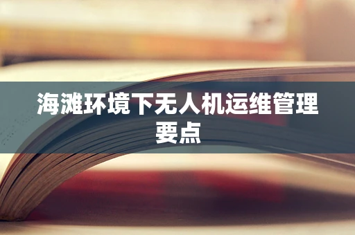 海滩环境下无人机运维管理要点