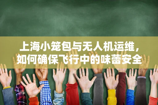 上海小笼包与无人机运维，如何确保飞行中的味蕾安全？