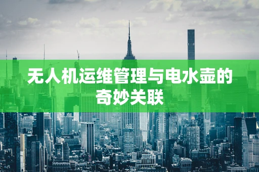 无人机运维管理与电水壶的奇妙关联