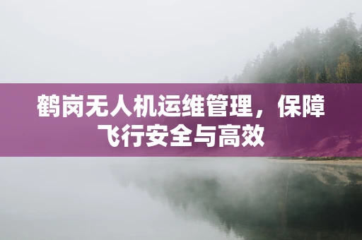 鹤岗无人机运维管理，保障飞行安全与高效