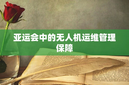 亚运会中的无人机运维管理保障