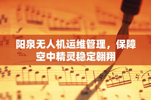 阳泉无人机运维管理，保障空中精灵稳定翱翔