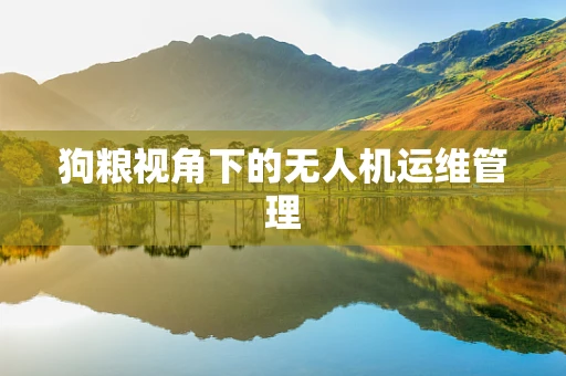 狗粮视角下的无人机运维管理