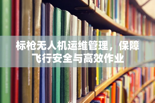标枪无人机运维管理，保障飞行安全与高效作业