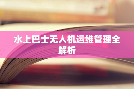 水上巴士无人机运维管理全解析