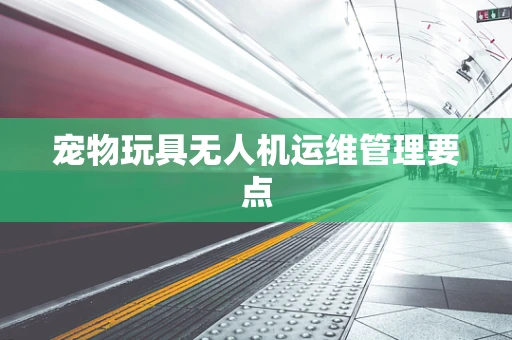 宠物玩具无人机运维管理要点