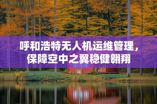 呼和浩特无人机运维管理，保障空中之翼稳健翱翔