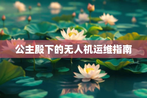 公主殿下的无人机运维指南