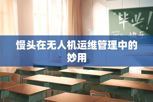 馒头在无人机运维管理中的妙用