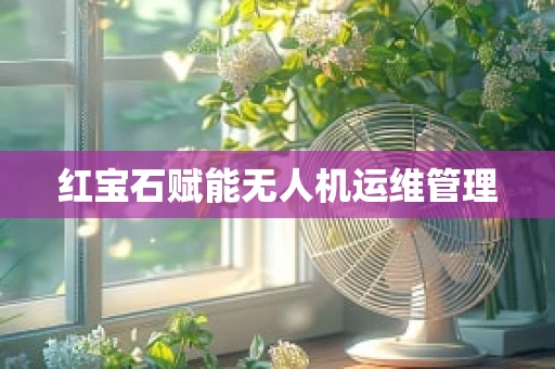 红宝石赋能无人机运维管理