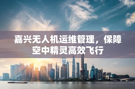 嘉兴无人机运维管理，保障空中精灵高效飞行