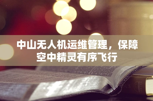 中山无人机运维管理，保障空中精灵有序飞行