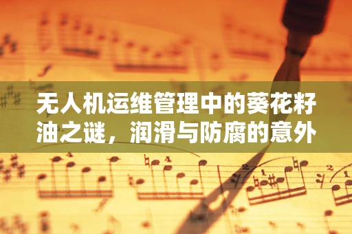 无人机运维管理中的葵花籽油之谜，润滑与防腐的意外关联？