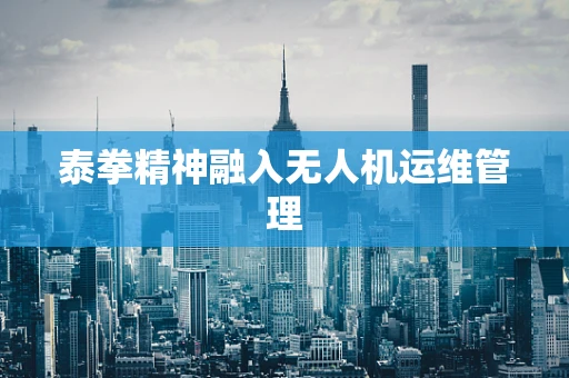 泰拳精神融入无人机运维管理