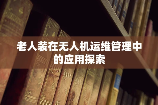 老人装在无人机运维管理中的应用探索