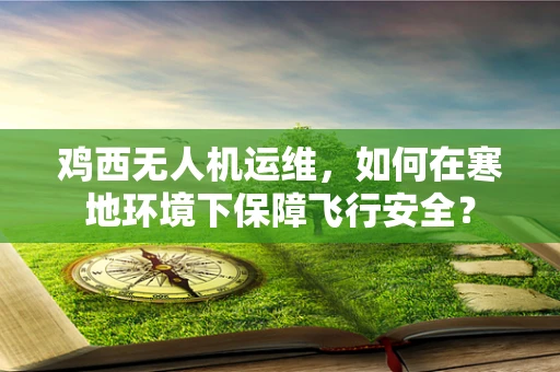 鸡西无人机运维，如何在寒地环境下保障飞行安全？