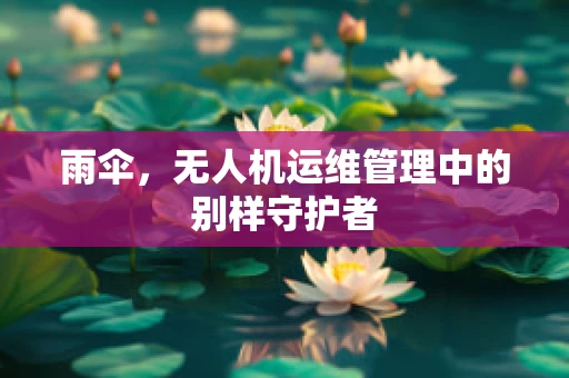雨伞，无人机运维管理中的别样守护者